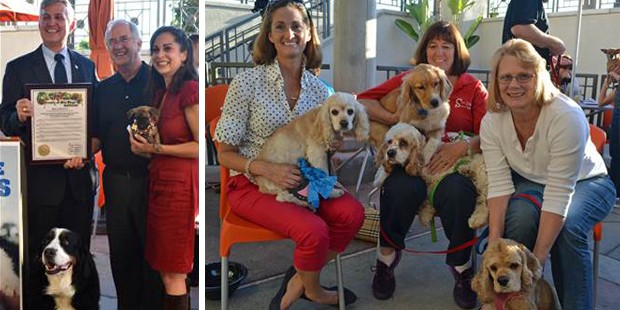 16th Annual Blue Buffalo Home 4 the Holidays Campaign aims to hit its 10 millionth adoption!