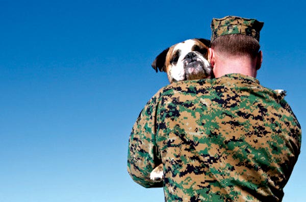 Shelter to Soldier and Griffin Funding matching rescue dogs with veterans
