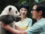 It is the PANDA PLAN